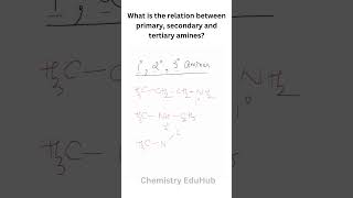 What is the relation between primary secondary and tertiary amines  Chemistry EduHub [upl. by Earle772]