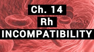 Ch14 Rh INCOMPATIBILITY  BLOOD PHYSIOLOGY [upl. by Vivienne]