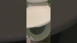 Saniflo upflush toilet installation [upl. by Dyal]