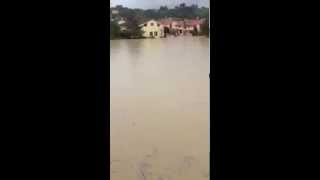 Alluvione Senigallia Borgo Bicchia sottacqua [upl. by Cowley]