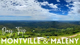 Montville amp Maleny Sunshine Coast Hinterland Day Trip [upl. by Aldis362]