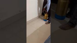 termites termitescontrol housecleaning homecleaning trending ytshorts viralvideo explore yt [upl. by Nosraep898]