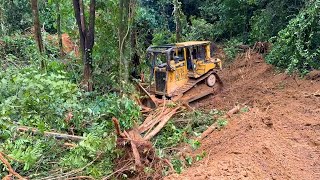 The Speed ​​of the D6R XL Bulldozer Turns Wilderness Into Roads in Minutes [upl. by Lolita]