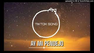 Max BAy Mi Pendejo Tik Tok Song Remix [upl. by Giglio]