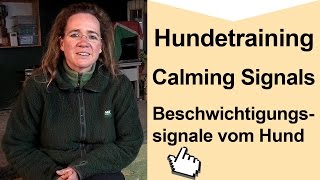 Calming signals  Beschwichtigungssignale vom Hund  Steffis Meinung dazu [upl. by Annaoj]