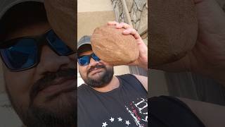 అమెరికాలో 15 kg Sapota Mamey sapote in USA అంత తియ్యగా అయితే ఏమీలేదు sweet potato taste undi [upl. by Graubert]