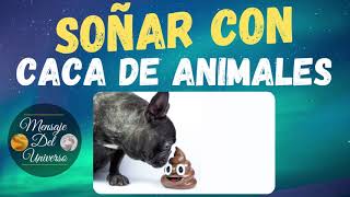 💤 Que significa Soñar con caca de animales  Interpretar mi sueño con Popó  Heces de Animales [upl. by Annairdua]