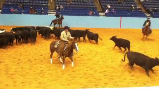 Augusta Futurity Cutting Horse [upl. by Yllatan]