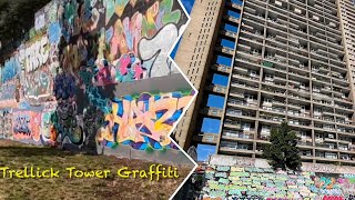 Trellick Tower London Graffiti Hall Of Fame Tour [upl. by Eilsel456]