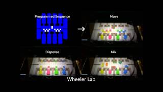 Programmed Digital Microfluidic Droplet Movement [upl. by Regan]