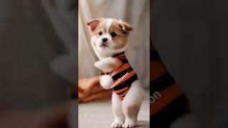 This Puppy Can Dance 🐕✨ PuppyDance ViralShorts WiggleWaggle [upl. by Aggi]