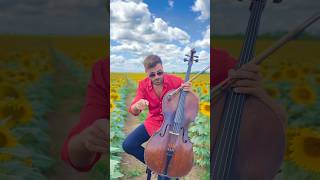 HAUSER  REBEL WITH A CELLO Tour 🔥🔥🔥🎟️ 👉hauserofficialcomeventdirectory hauser europe [upl. by Enitsrik]