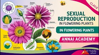 Unlocking Nature Sexual Reproduction in Flowering Plants Explained [upl. by Eniledgam]