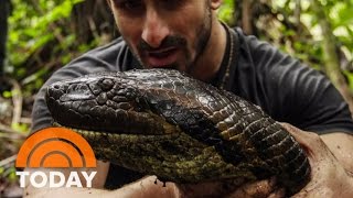 Eaten Alive By Anaconda Why I Did It  TODAY [upl. by Aneala]