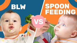 Is BabyLed Weaning ACTUALLY Better Than Spoon Feeding [upl. by Little]