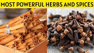 The 10 Most Powerful Herbs and Spices for Wellness [upl. by Anilosi667]