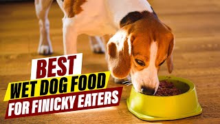 5 Best Wet Dog Foods to Tempt Even the Fussiest Eater [upl. by Llednav]