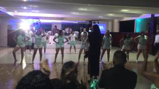 Best quinceanera surprise dance Dianas fifteen [upl. by Hsenid]