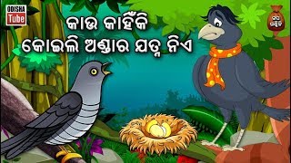 Odia Children Story  କାଉ କାହିଁକି କୋଇଲି ଅଣ୍ଡାର ଯତ୍ନ ନିଏ  Educational Video  Odisha Tube [upl. by Inait]