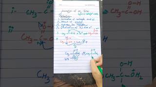 Mechanism of formation of ester organic chemistry class 12 [upl. by Gaspard]