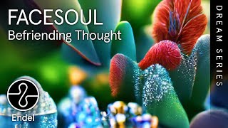 FACESOUL  Befriending Thought  Soul Slumber  EndelSound Dream Series [upl. by Zachar126]