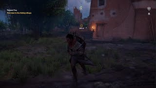 Assassins Creed Origins Phylakes Prey Completed [upl. by Enialem]