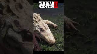 rdr2 rdr260fps rdrgameplay gaming arthurmorgan reddeadredemption [upl. by Esyle]