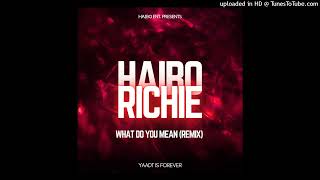 Haibo Richie  What Do You Mean Remix [upl. by Animar]