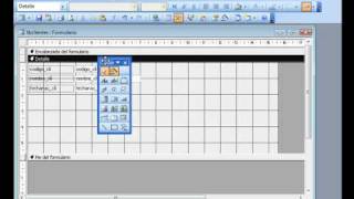 Access 2003 Insertar calendario en un formulario  wwwofimaticaparatorpescom [upl. by Helli]