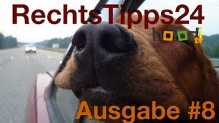 Hund gilt als Ladung  StVO § 23  RechtsTipps24tv [upl. by Ybot]