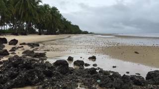 ឆ្នេរនេសាទ ស្រែអំបិល Nesart beach Sre Ambel [upl. by Benoit517]