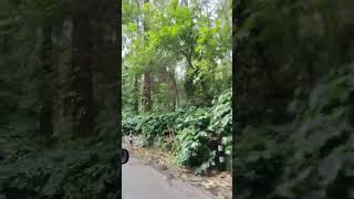 youtubeshorts tamil classical songsyercaud natureennullea [upl. by Eizeerb185]