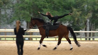 Equestrian Vaulting  1 Star Compulsories at Canter [upl. by Akirahs]