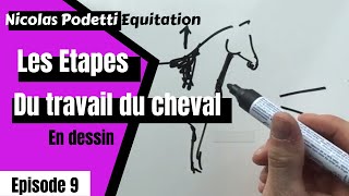 Quelles Etapes pour travailler un cheval [upl. by Leahcimsemaj]