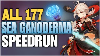 All Sea Ganoderma Locations  Efficient Farming Route  Kazuha Ascension Materials  Genshin Impact [upl. by Aisyla]