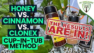 How To Root Cuttings  Honey vs Cinnamon vs CloneX  THE RESULTS ARE IN [upl. by Ahsiuqet]