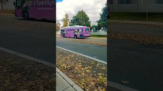 Boise valley ride Gillig low floor city bus  733 [upl. by Merlina]