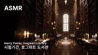 ASMR 시험기간 호그와트 도서관에서 자습하기✍️  Harry Potter Library Ambience [upl. by Meluhs]