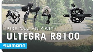 BIKE ASSEMBLY FEAT ULTEGRA R8100 GROUPSET  SHIMANO [upl. by Ateuqal]