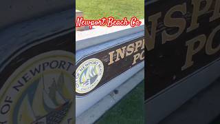 Newport Beach Cashorts shortvideo newportbeach california oceanlife oceanview [upl. by Godrich105]