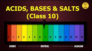 Acids amp Bases  Class 10  Chapter 2 [upl. by Ikram]