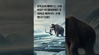 털북숭이 매머드는 고대 이집트의 대피라미드가 지어질 때까지도 존재했다 1편 [upl. by Gnehc]