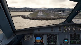 Microsoft Flight Simulator Landings But Its Either The Fenix A319 A320 or A321 [upl. by Zelde]