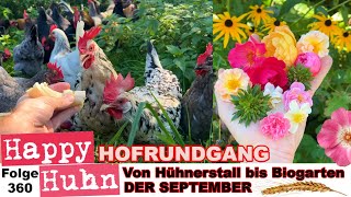 Von Hühnerstall bis Biogarten  Hofrundgang im September  HAPPY HUHN Folge 360 hühner bauernhof [upl. by Annait]