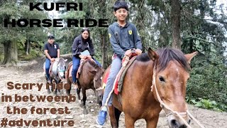 Kufri Horse Riding at Shimla Tour 🤩❤️ [upl. by Brill206]