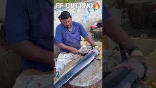 KASIMEDU🔥SPEED SELVAM BIGG ARA KOLA FISH CUTTING VIDEO kasimeduselvam fishcutting youtubeshorts [upl. by Anirazc]