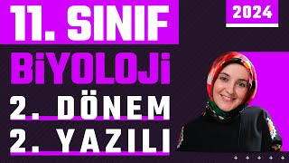 11Sınıf Biyoloji 2Dönem 2Yazılı  2024 yazılı biyoloji [upl. by Gower]