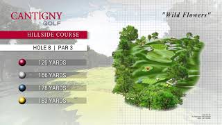 Cantigny Golf Club Hillside Hole 8 [upl. by Barra]