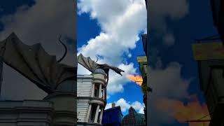 Gringott’s Dragon in Diagon Alley shorts harrypotter orlando hurricane hurricanemilton fire [upl. by Goeger]