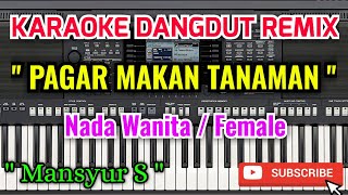 Pagar Makan Tanaman Karaoke  Karaoke Pagar Makan Tanaman Nada Wanita  Female  Mansyur S [upl. by Karlee7]